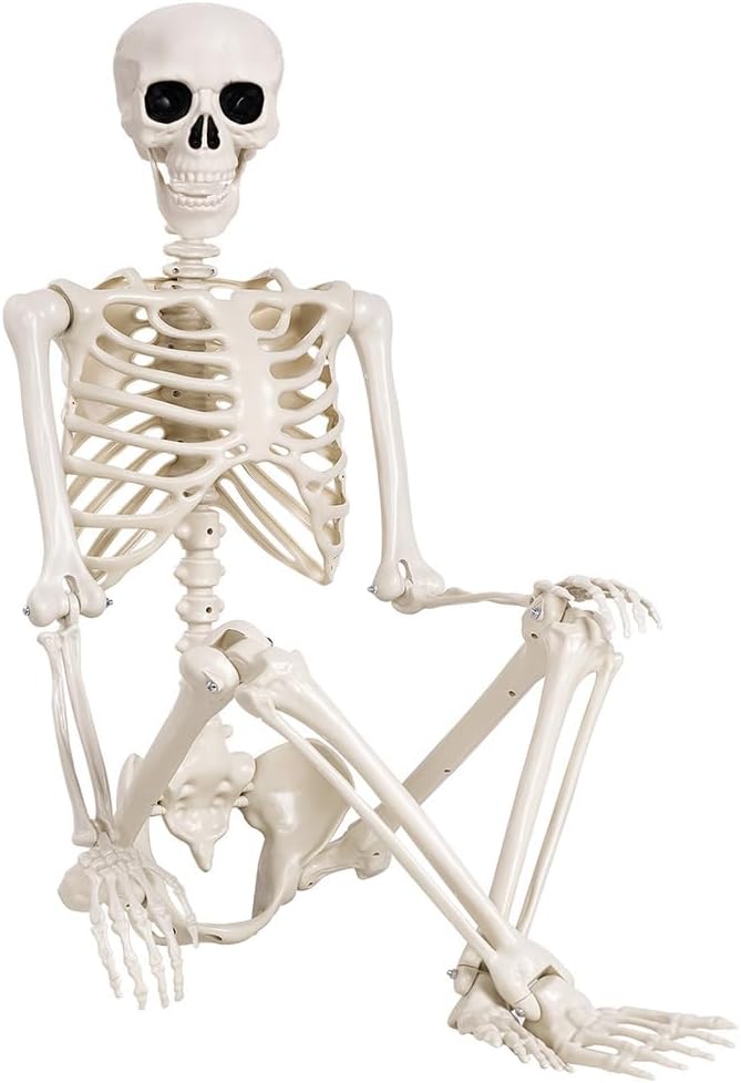 5.4 ft Halloween Skeleton - Life Size Human Skeleton with Full Body Posable J...