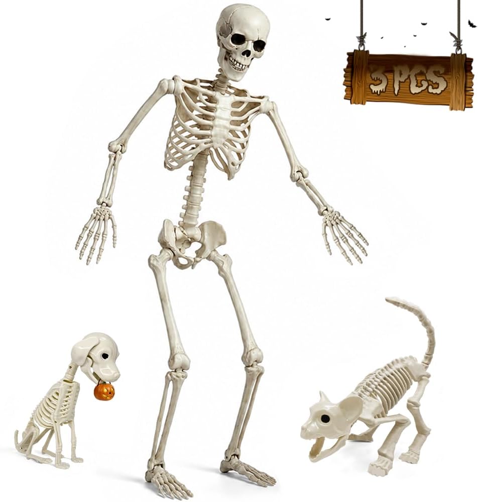 5.4FT Life Size Skeleton with Cat Dog, Plastic Skeleton for Halloween Decor