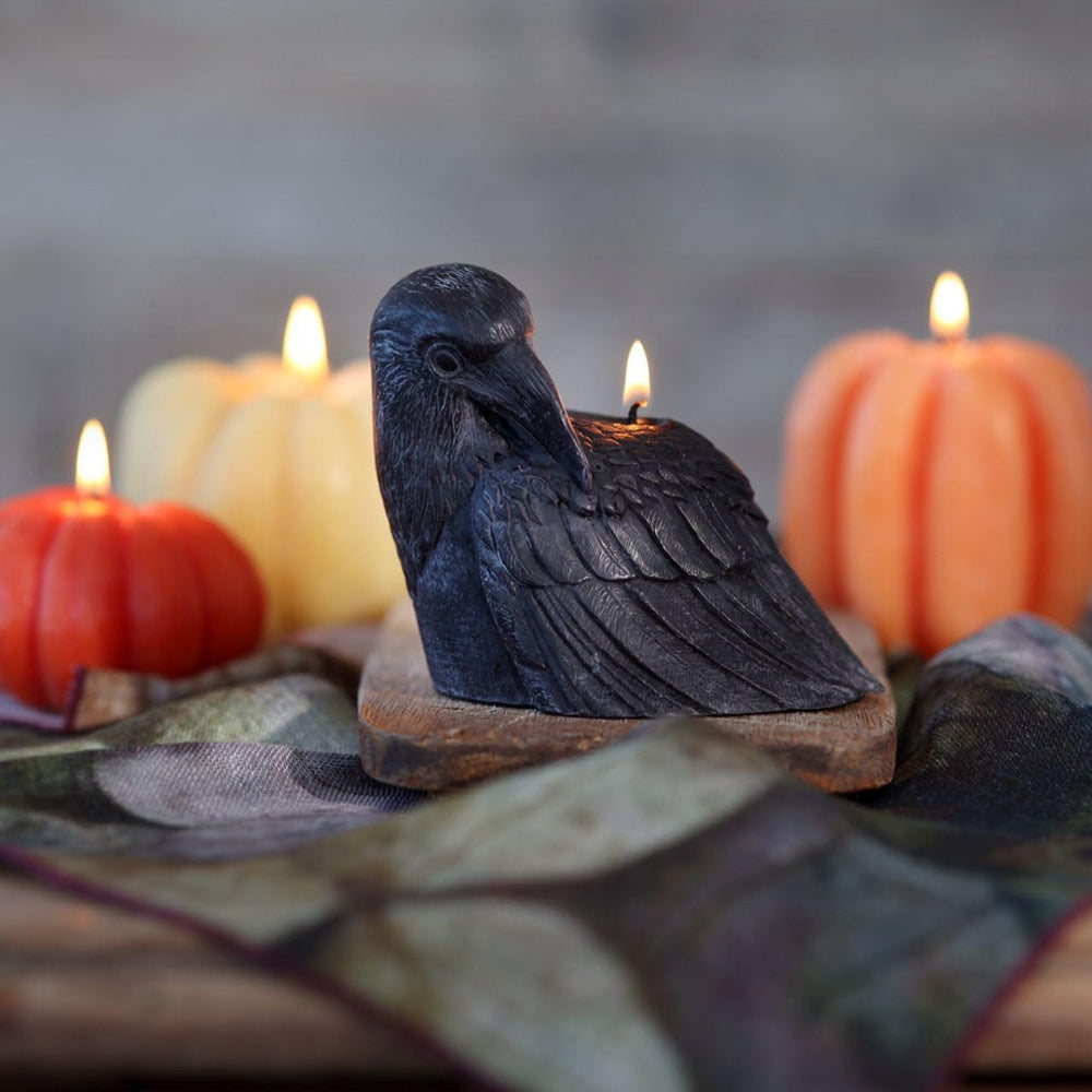 Big Dipper Wax Works Black Crow Candle – Handcrafted 100% Pure Beeswax, 4&quo...