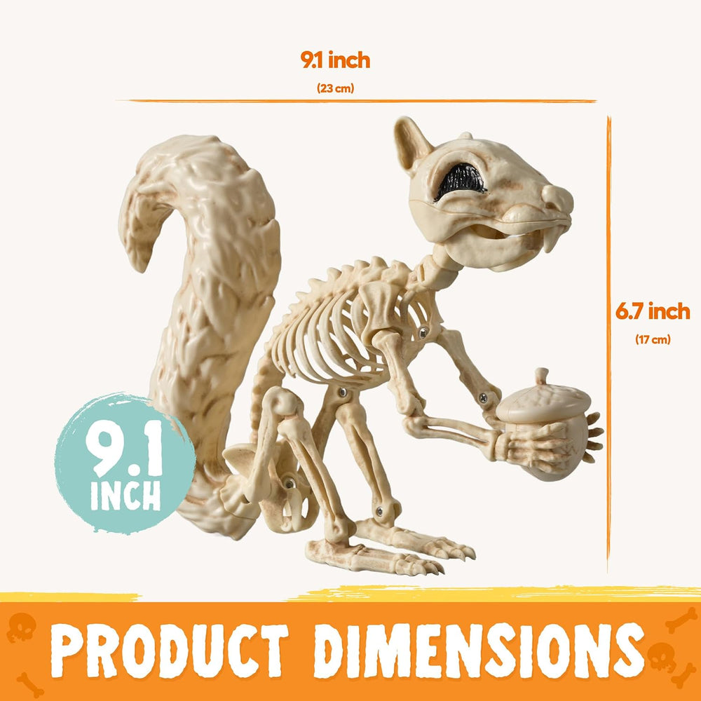 JOYIN Squirrel Skeleton Halloween Decoration 9.1 Inch Animal Posable Skeleton...