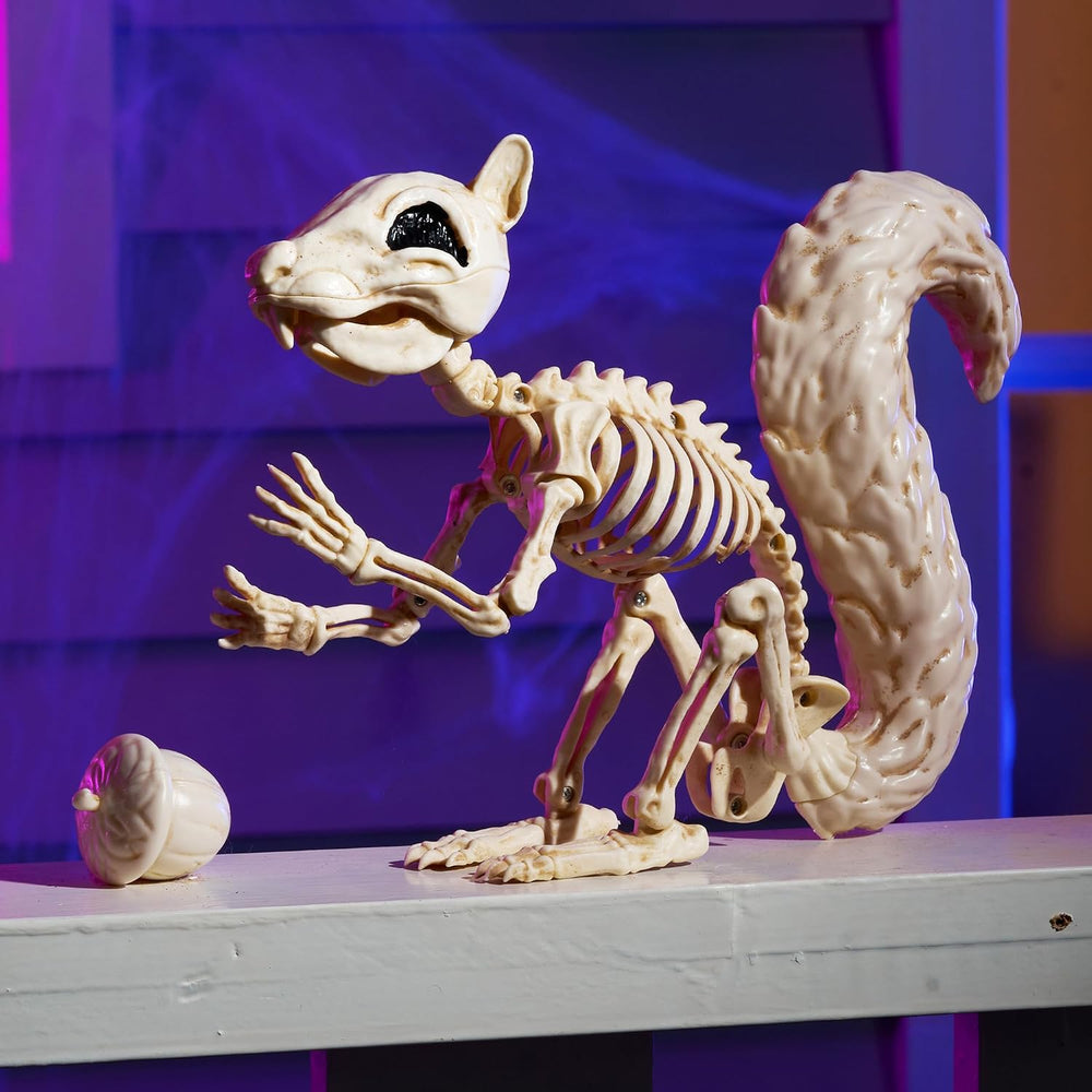 JOYIN Squirrel Skeleton Halloween Decoration 9.1 Inch Animal Posable Skeleton...