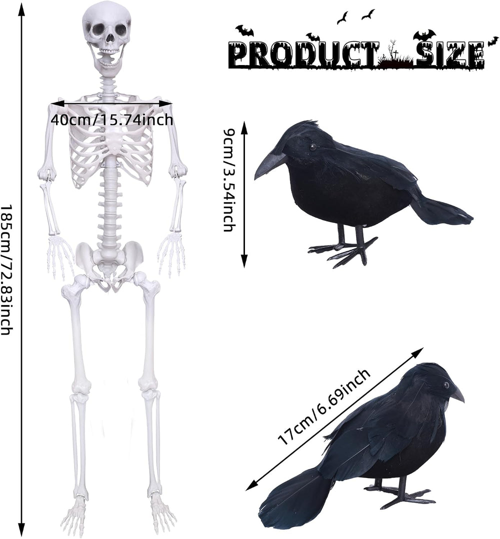 Wocst 6Ft Life Size Skeleton Posable Skeleton with Movable Joints Halloween F...
