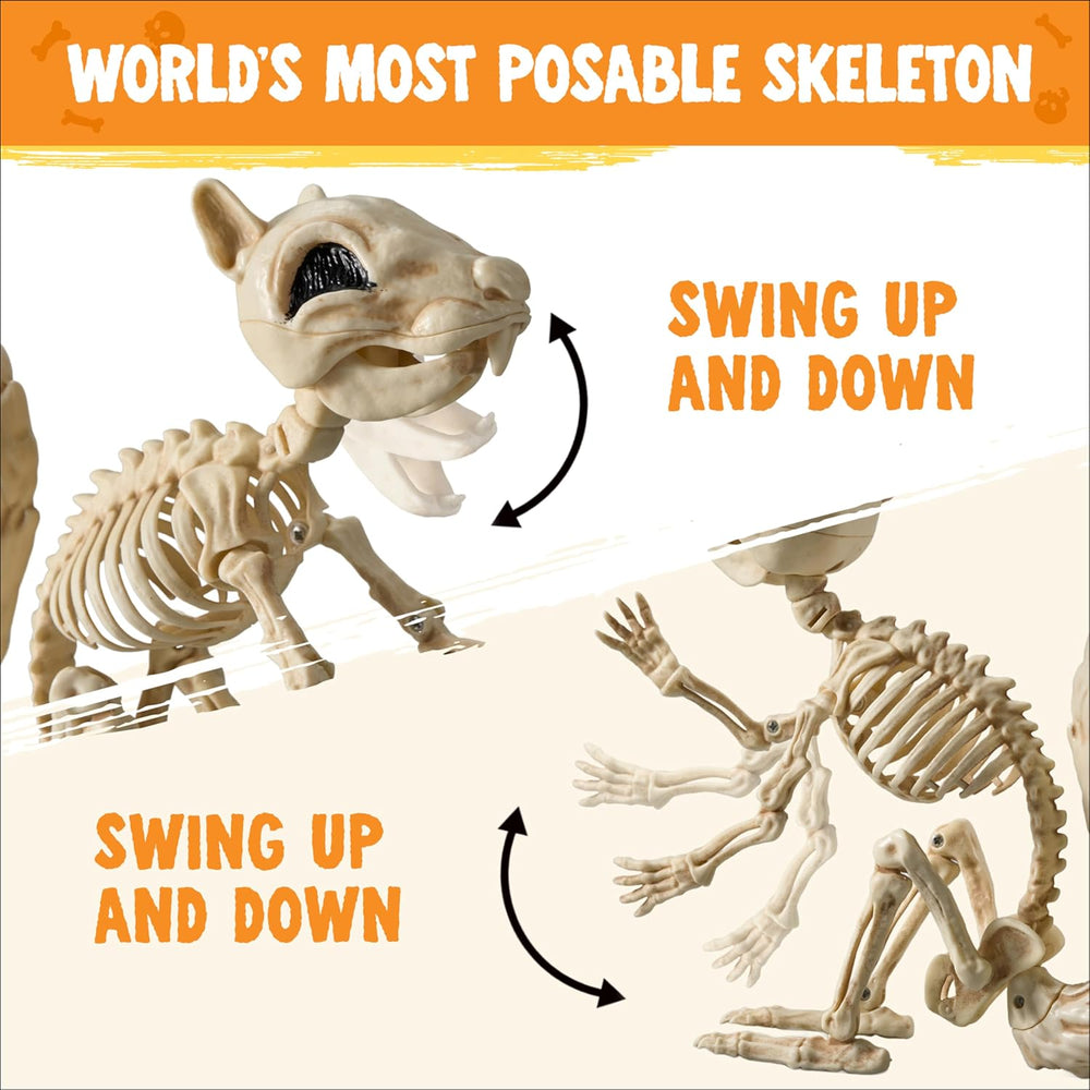 JOYIN Squirrel Skeleton Halloween Decoration 9.1 Inch Animal Posable Skeleton...