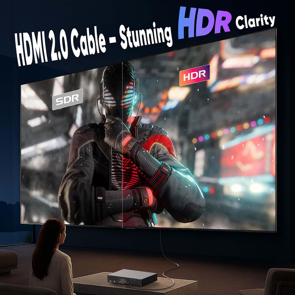 HDMI Cable 3FT 10-Pack Black