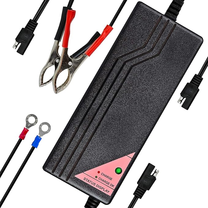 ExpertPower 12.8V 5A Smart Charger
