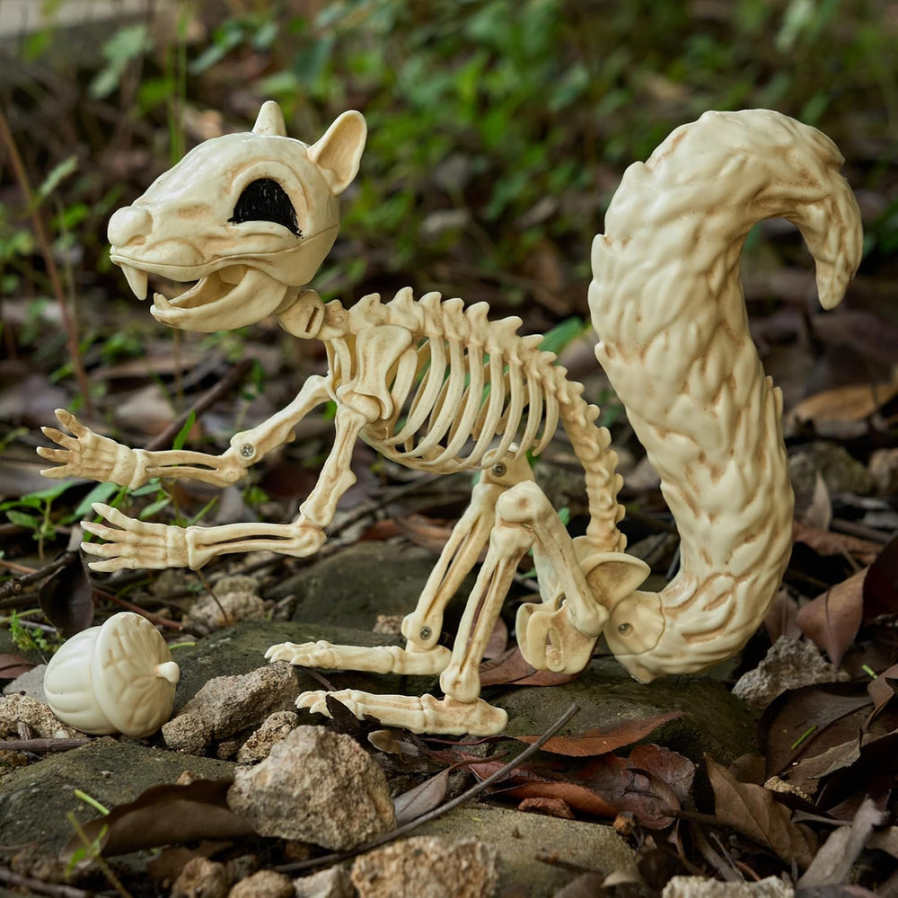JOYIN Squirrel Skeleton Halloween Decoration 9.1 Inch Animal Posable Skeleton...