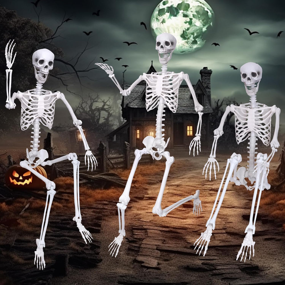 Wocst 6Ft Life Size Skeleton Posable Skeleton with Movable Joints Halloween F...