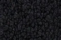 Molded Loop Gas Tank Cover Carpet Flooring - fits 1969-1972 Chevrolet C10 Pickup Molded (Black)
