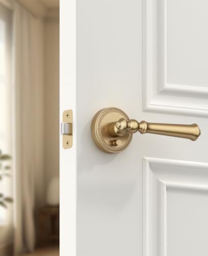 amerdeco 6 pack champagne bronze privacy interior door, close-up detail