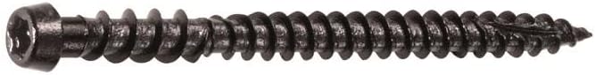 collated cortex - 100 lft for trex clam, main product view