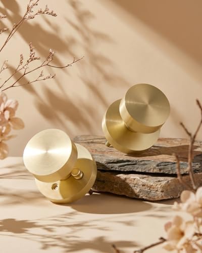 haidms brushed gold door knob interior privacy door, side view