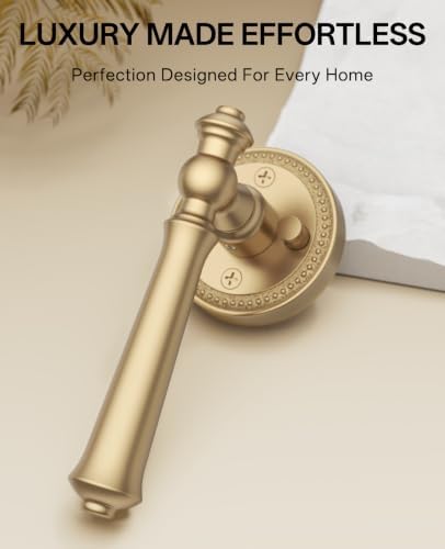 amerdeco 6 pack champagne bronze privacy interior door shown in use