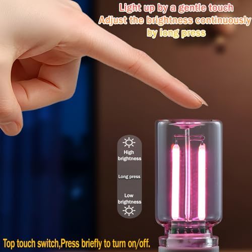 1 Pack Car LED Lights Interior, USB Light for Car Decor & Bedroom, Touch Dimmable Ambient Lighting, Mini Glass Bottle Night Light for Camping Gifts-Red