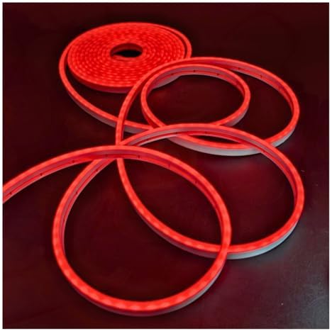 Neon Flex 5 m LED Light Hose Cuttable Adjustable Strip 12 V Indoor Outdoor Decoration Without Monochrome Source LED2835 (Red, Hose)