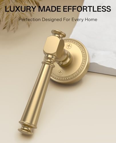 amerdeco 6 pack champagne bronze privacy interior door shown in use