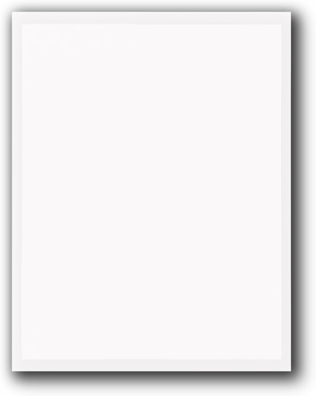 window stickers for car dealers -plain blank white, main product view