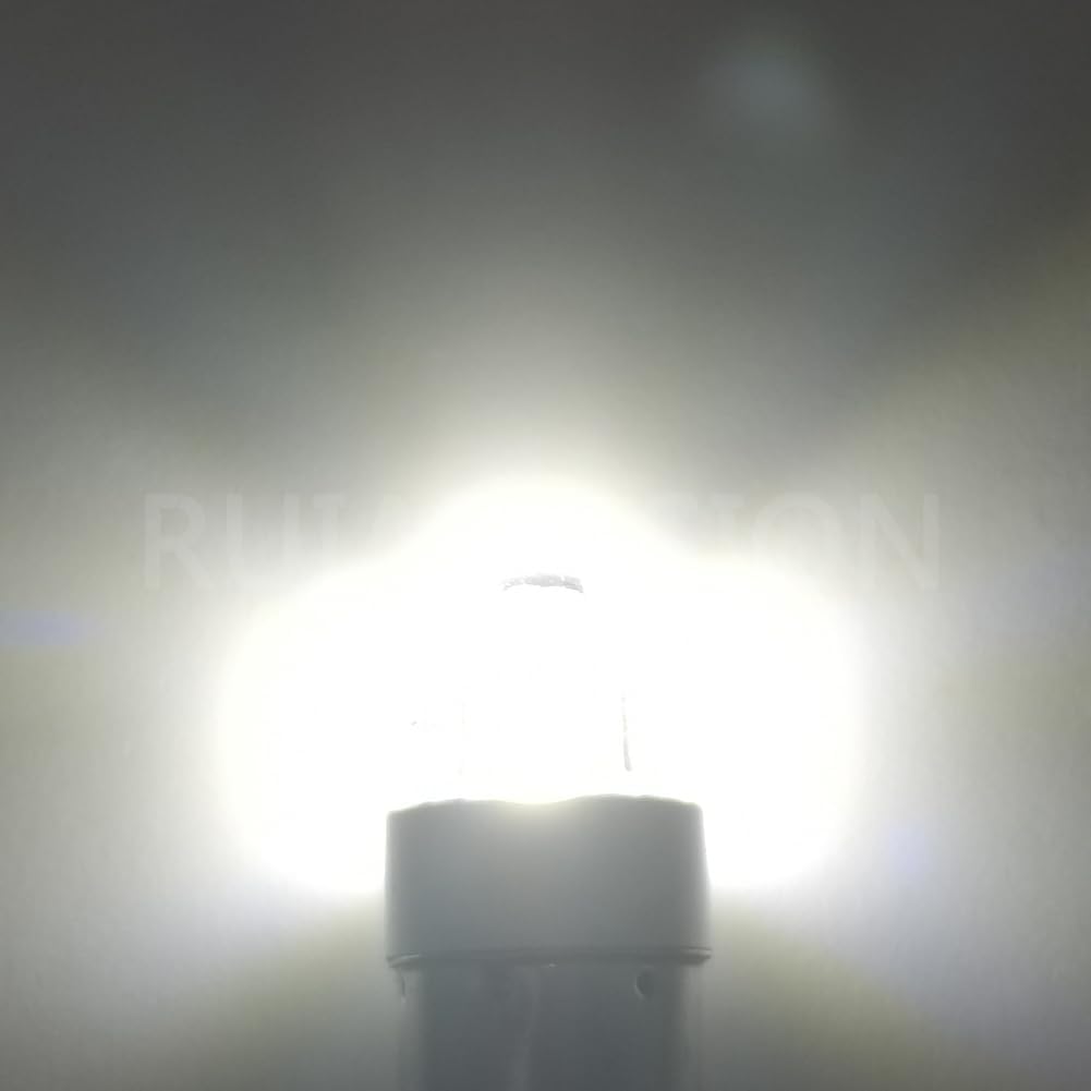 Ruiandsion BAY9S LED Dome Light H21W 64136 12V Non Polarity 200LM Super Bright 3030 2SMD Chipset White for Car Interior Side Door Courtesy Map Lights Pack of 10