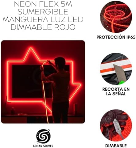 Neon Flex 5 m LED Light Hose Cuttable Adjustable Strip 12 V Indoor Outdoor Decoration Without Monochrome Source LED2835 (Red, Hose)