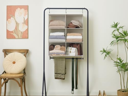 storageworks hanging closet organizer with rod, 6 sections, package contents
