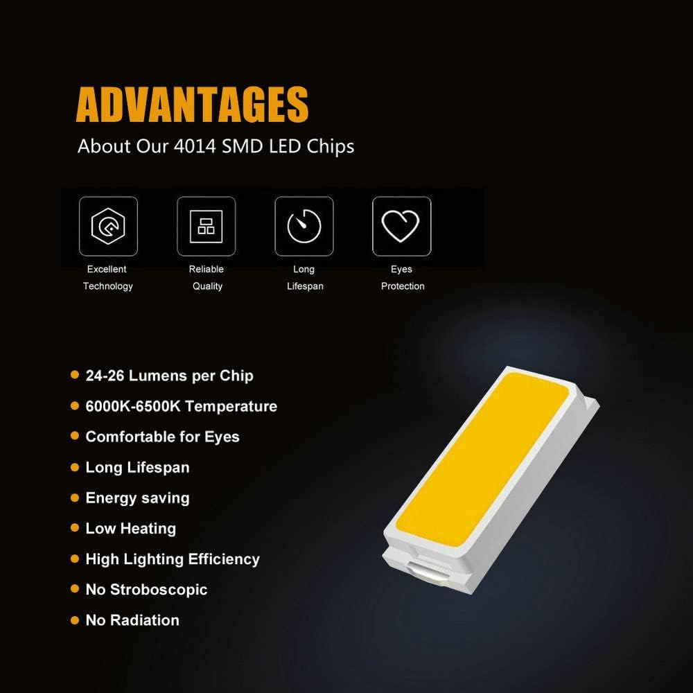 White Car Truck LED Interior Light Kit for Map Dome Bulb 40-Pack | 31MM DE3175 36MM 6418 41MM 6411 T10 2825 BA9S 64111 T5 74 6615F 6612F Size Combo Also for Trunk Door Courtesy License Plate