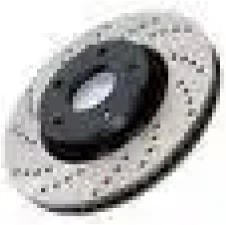 Rear Brake Disc Rotor 390mm Compatible With Brake System OE 2224200372