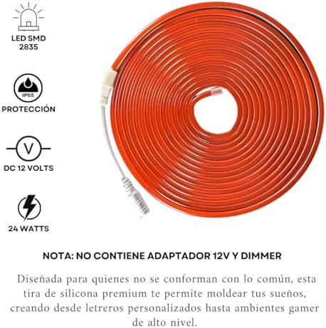 Neon Flex 5 m LED Light Hose Cuttable Adjustable Strip 12 V Indoor Outdoor Decoration Without Monochrome Source LED2835 (Red, Hose)