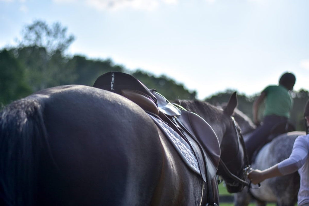 Thinline Seat Saver for English Riders - Close Contact - Dark Brown