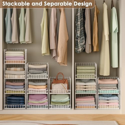 5-tier stackable closet organizers and storage baskets, closet, package contents