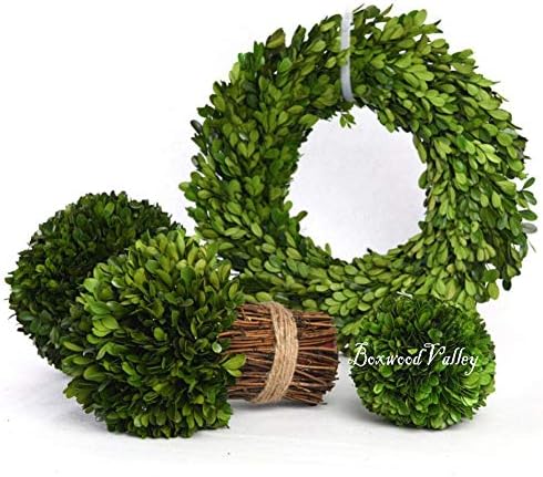 Preserved Boxwood Wreath, 11 Inches, Green Wreath for All Seasons Indoor Use ...