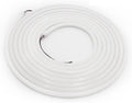 5m 2835 10 * 10MM semicircular neon Tube Light with 120 Lights Single Light Single Cut Light bar Engineering Decoration(5700K Cool White)