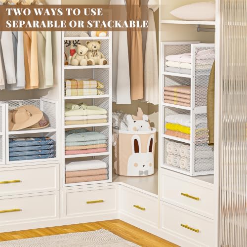 daoutime 6-tier stackable closet organizers and storage basket on a desk or shelf
