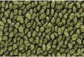 Replacement Complete Carpet Compatible with Ford F100 Truck Regular Cab Rear Wheel Drive Automatic Transmission (1980-1983) - Cutpile Interior Kit