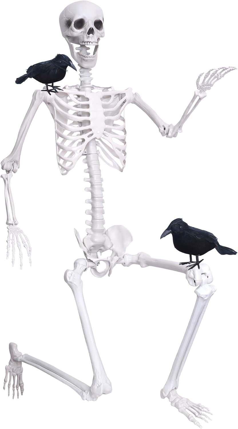 Wocst 6Ft Life Size Skeleton Posable Skeleton with Movable Joints Halloween F...