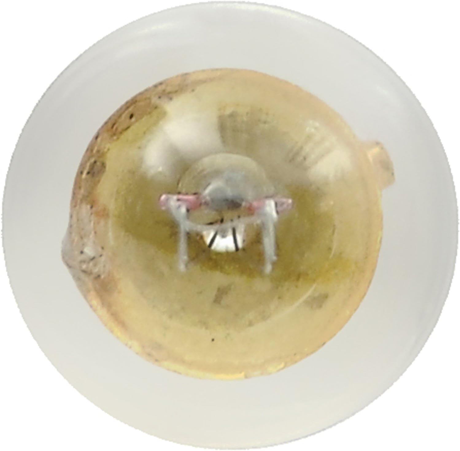 SYLVANIA 1895 Basic Miniature Bulb, (Contains 10 Bulbs)