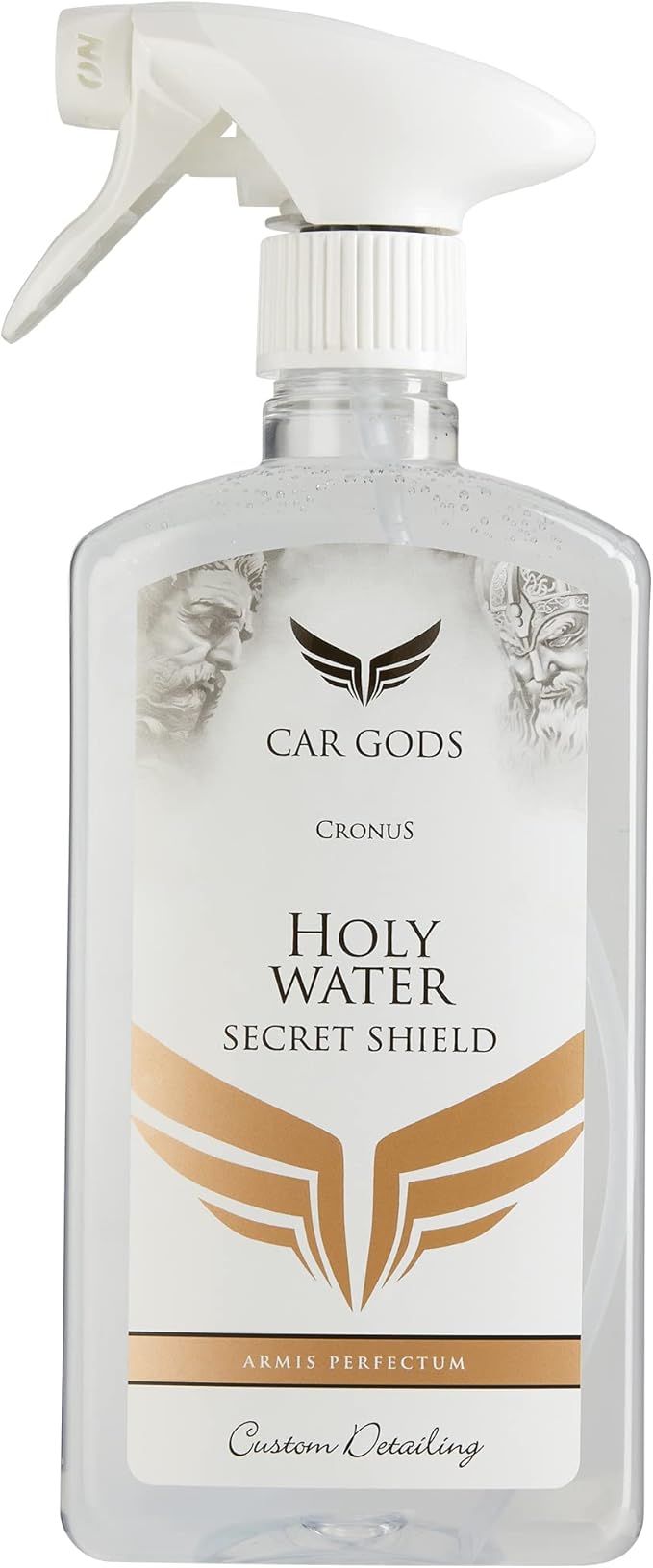 Car Gods Holy Water Secret Shield Polish, Paint Sealant, Protection Against by CarGods