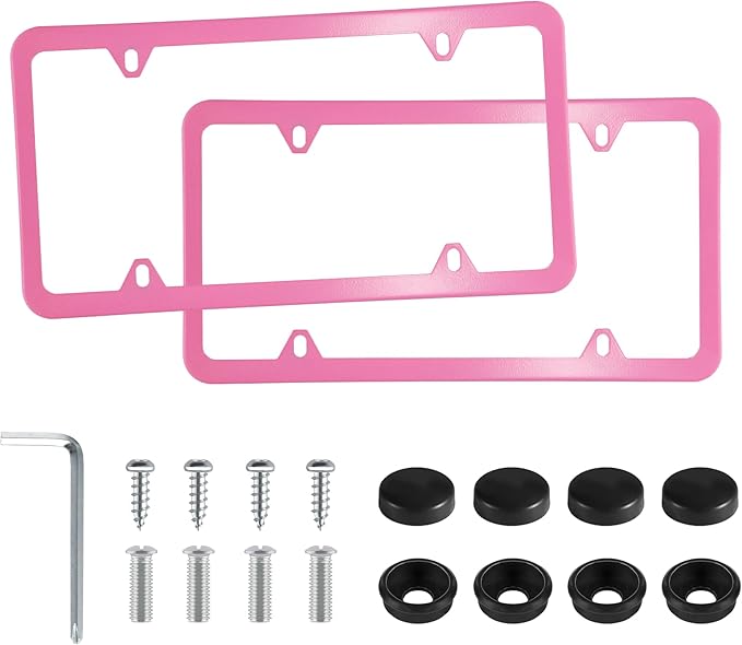 LivTee 4 Holes Stainless Steel License Plate Frames, Automotive Exterior by LivTee