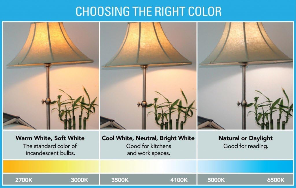 Gold Stars F3528002 LED RV Ceiling Double Dome Light Fixture Double 921 Wedge 12v Natural White (3)