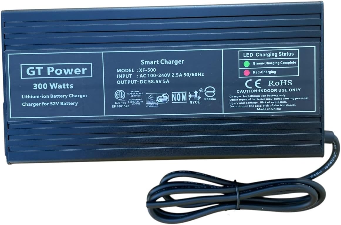 5A AC Adapter Compatible with Heybike Villain
