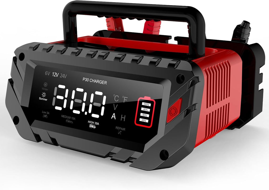 30 Amp Lithium Battery Charger, 6V10A/12V30A/24V16A Lifepo4, Lead-Acid Smart