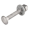 5/16" x 2-1/2" (50 pack) galvanized carriage bolt, main product view