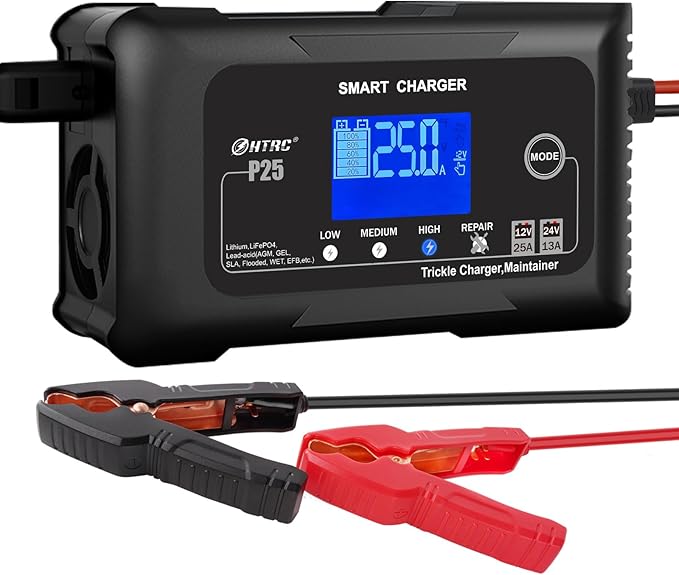 25Amp Lithium Battery Charger, 12V and 24V Lead-Acid Battery Charger, Battery by Dylannet
