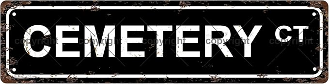 CEMETERY CT Space Vintage Metal Tin Sign License Plate Bar Cafe Garage Cave by Unknown