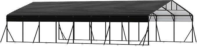 20' x 40' x 8.5' Heavy Duty Metal Carport by Hipicute