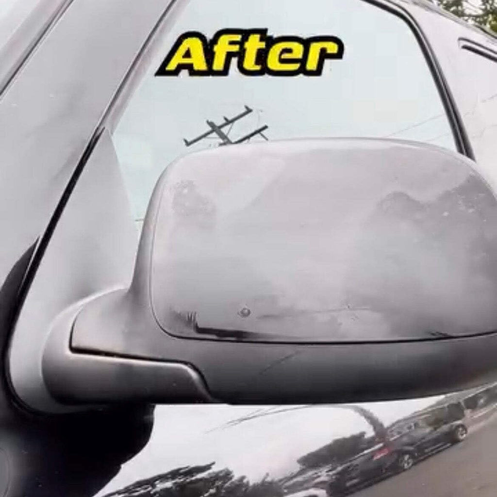BUG & TAR Remover for Cars, RV and Trucks Professional Detailing Product 16 oz