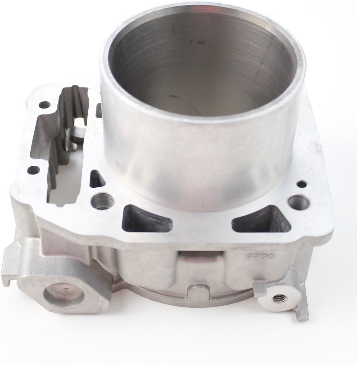 Cylinder Piston Gasket Compatible With BRP HD10 1000 420623566 420623565