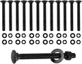 cnqlis 3/8" x 3-1/2" carriage bolts kit, 25pcs, main product view