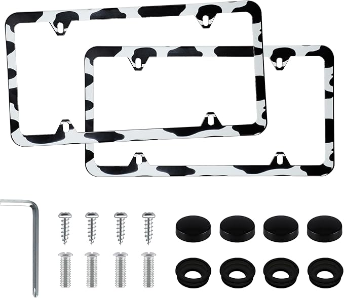 LivTee 4 Holes Stainless Steel License Plate Frames, Automotive Exterior by LivTee