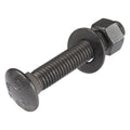 3/8" x 2-1/2" (25 pack) black carriage bolt, main product view