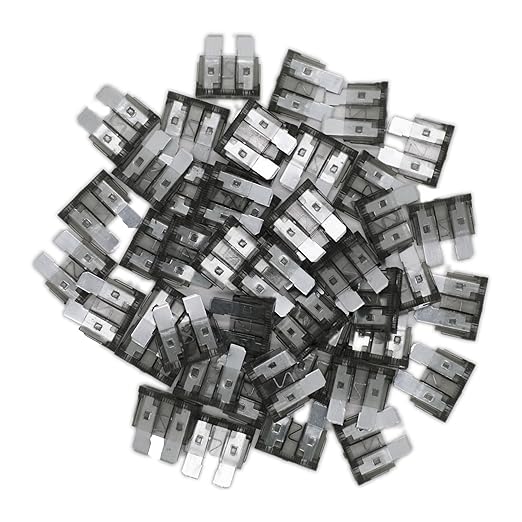 2 Amp Standard Fuse, 2A Car Blade Fuses by Fuselechada