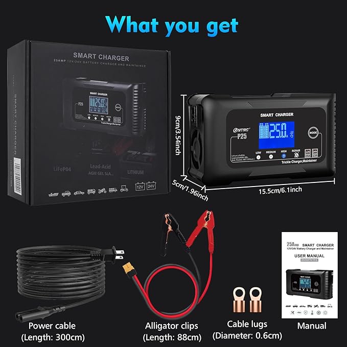 25Amp Lithium Battery Charger, 12V and 24V Lead-Acid Battery Charger, Battery - Image 7